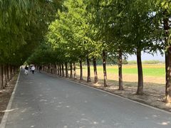-嘉北郊野公园