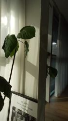 点击看大图 -阿南达·瑜伽普拉提·阿育吠陀疗愈中心