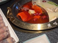 -熊喵来了火锅·牧场好肉(邯郸邯山万达店)