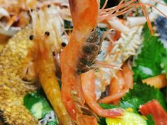 北极甜虾刺身-山之川日料放题(通州店)
