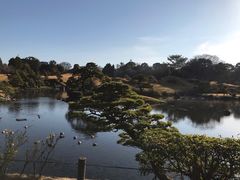 -水前寺成趣园