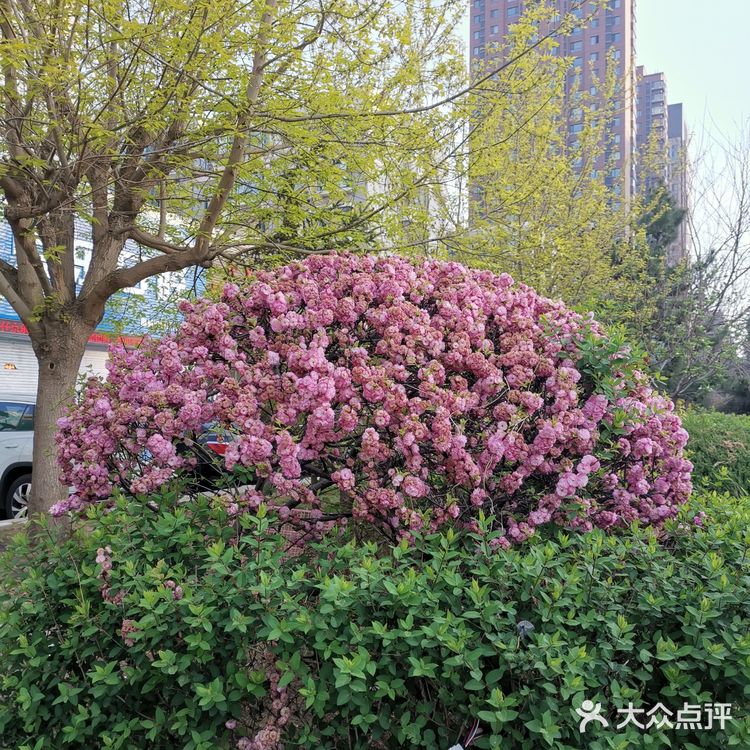 保工街
