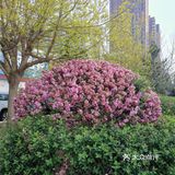 保工街