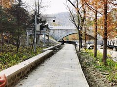 -白水寺森林公园
