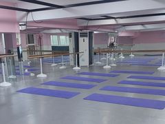 -蒲公英舞蹈艺术中心(解放路校区)