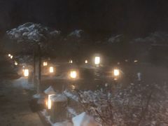 -陆地游轮吉林神农温泉