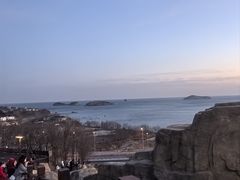 -星海湾跨海大桥