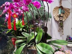 -FEI FEI FLOWER鲜花店·气球派对·宝宝宴布置(虹口德必运动Loft店)