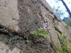 -终南山南五台景区