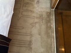 -河源万绿湖美思威尔顿酒店