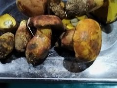 -滇野云南野生菌餐厅(陕西南路店)