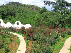 -名花谷生态庄园