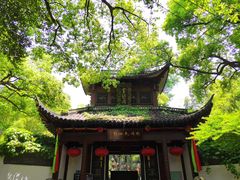 -杭州黄龙洞