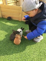 -萌宠亲子动物乐园(槐房万达店)