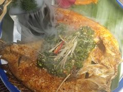 -雀舞云南菜(乐客城店)