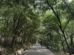 -灵谷景区