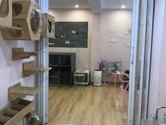 -猫咪派对(江南西店)