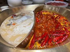 -小龙坎火锅(春熙太古里店)