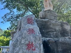 -大岭沟猕猴桃谷风景区