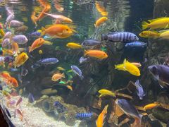 -太平洋海底世界