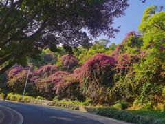 -仙岳公园