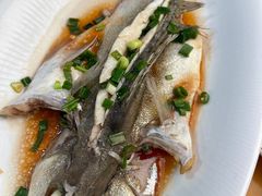 -舌尖上·霞浦滩涂海鲜·新闽菜(总店)