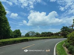 -宜兴龙背山森林公园