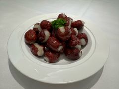 -圆苑(静安寺店)