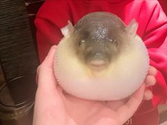 -永安鱼庄·镇江菜(东吴路店)