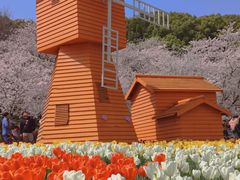 -苏州上方山国家森林公园