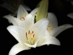 -长春公园(普阳街道)