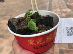-黑色经典臭豆腐·湖南特产(坡子街店)