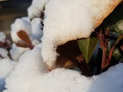 -芳姨广东砂锅粥(张庄路店)