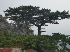 -圣莲山风景区
