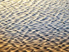 -春花秋色城市公园