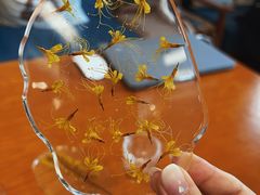 -菩提树下茶咖鼓捣