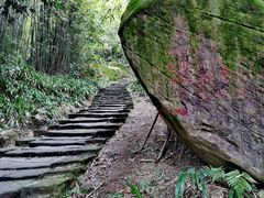 -缙云山景区