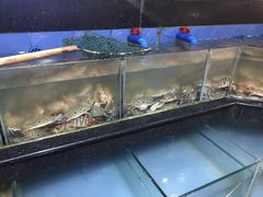 水产区-三亚胜意海景酒店·海鲜自助餐厅(三亚湾路店)