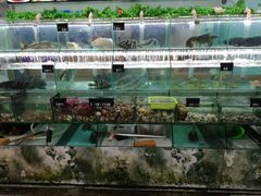 -特色海鲜美食(老街店)