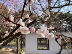 -无锡梅园公园