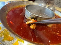 -田鸭肠·非遗火锅(彭州店)