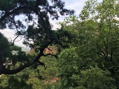 -苍岩山风景名胜区