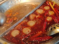 -小龙坎火锅(IFS HOT店)