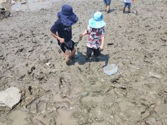 -南汇嘴观海公园