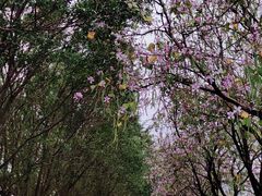 -南丰汇(新港东路店)