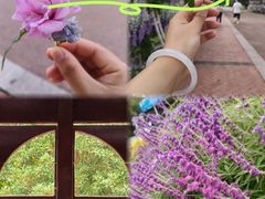 -云漫湖生态度假公园