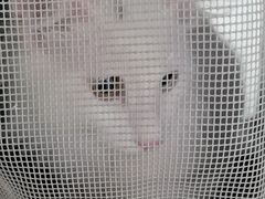 -美联众合动物医院·24h京西诊疗中心
