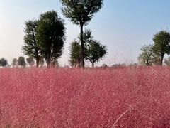 -汉长安城未央宫国家考古遗址公园