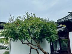 -常熟方塔园