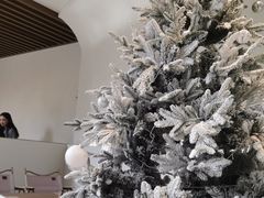 -J Create城市露营咖啡·简餐·宠物(上海动物园店)